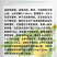 蒲公英种子婆婆丁种子四季易种蔬菜春秋冬季药用食用菜
