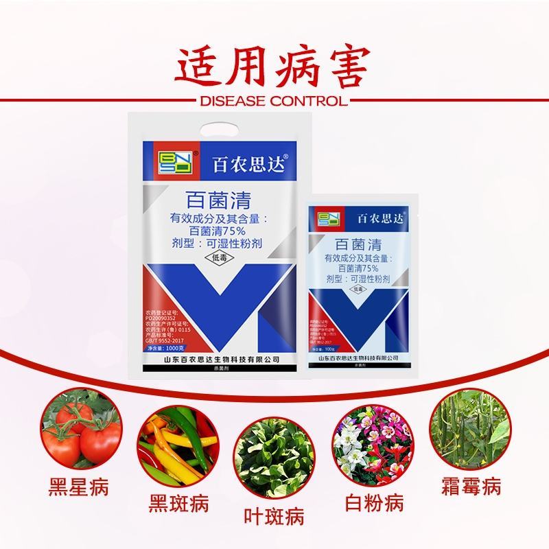 百农思达百菌清75%纯蓝粉果树蔬菜花卉霜霉白粉病农药杀