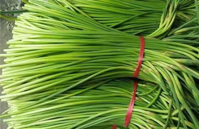 蒜薹虾酱鸡蛋成品图