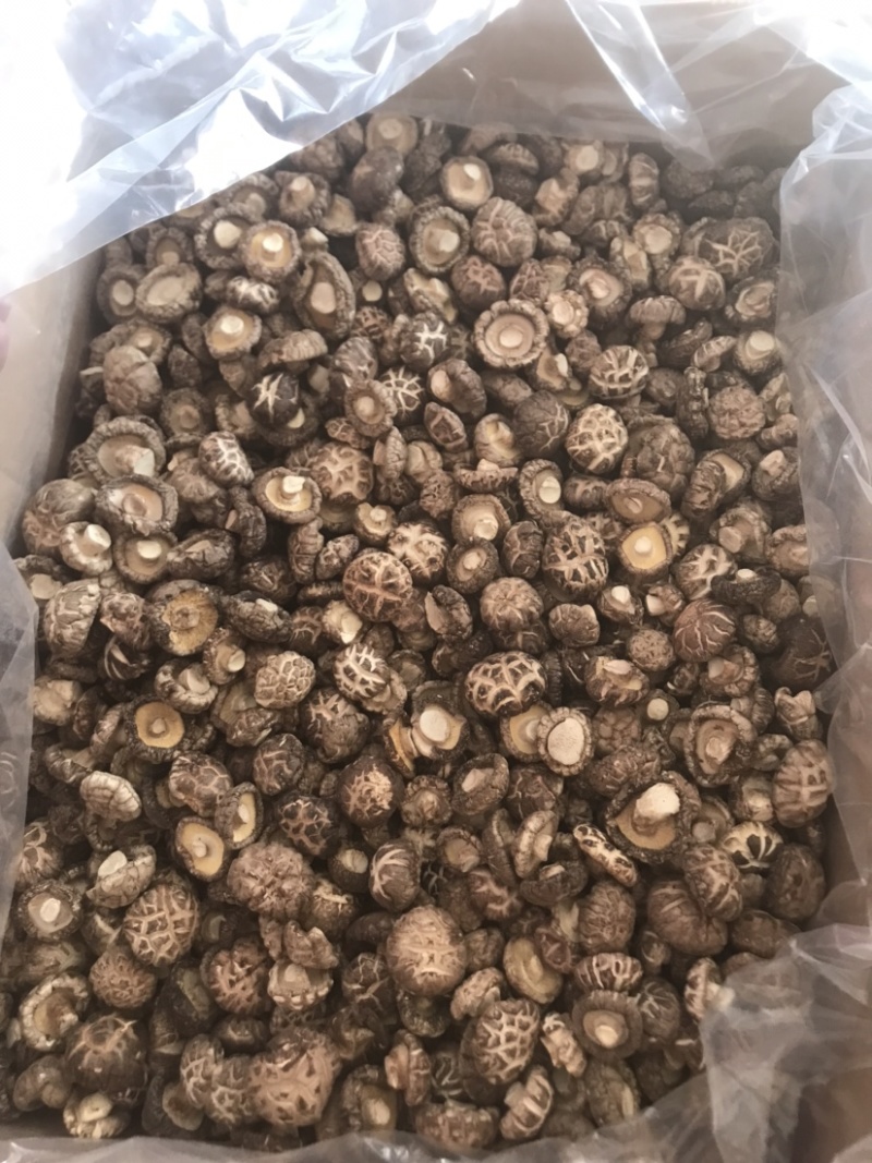 精选干香菇大小型号，产地发货，质美价优