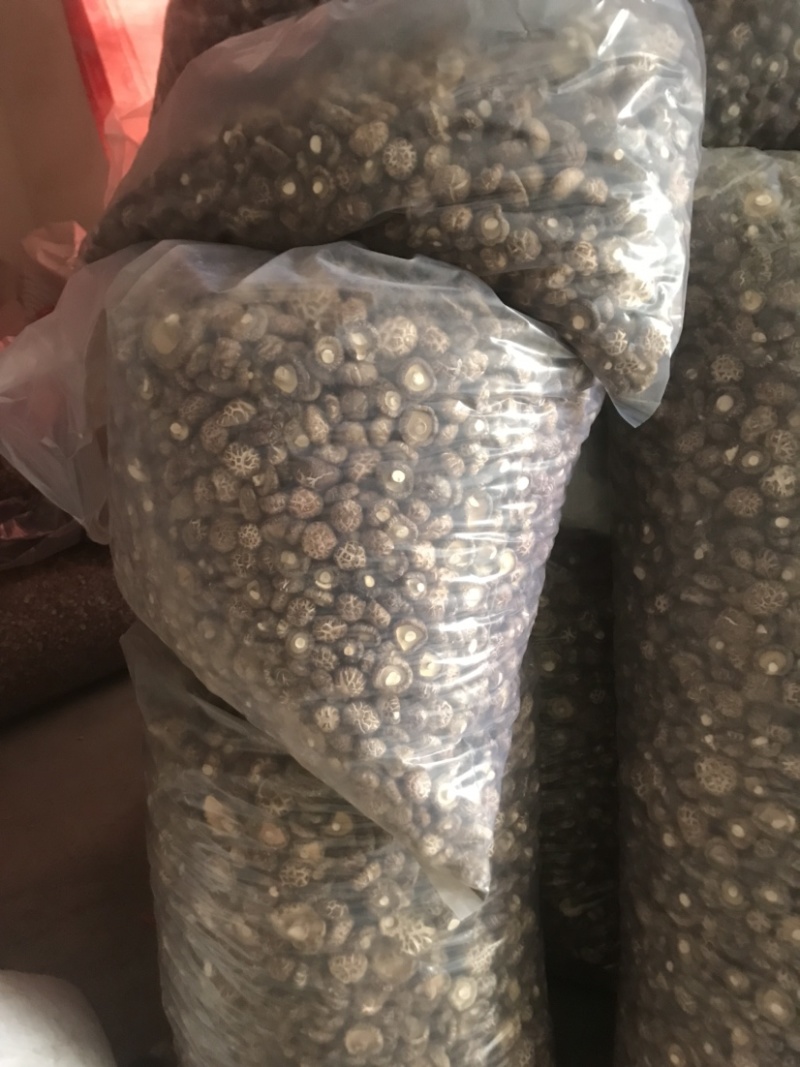 精选干香菇大小型号，产地发货，质美价优