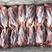 猪腱子肉厂家直发基地直供品质保证价格实惠全年供货