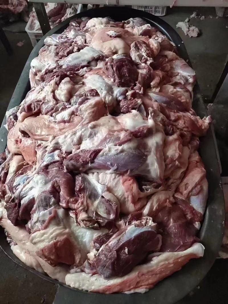 育肥羊肉卷，厂家一手货源也可定做加工。。。。