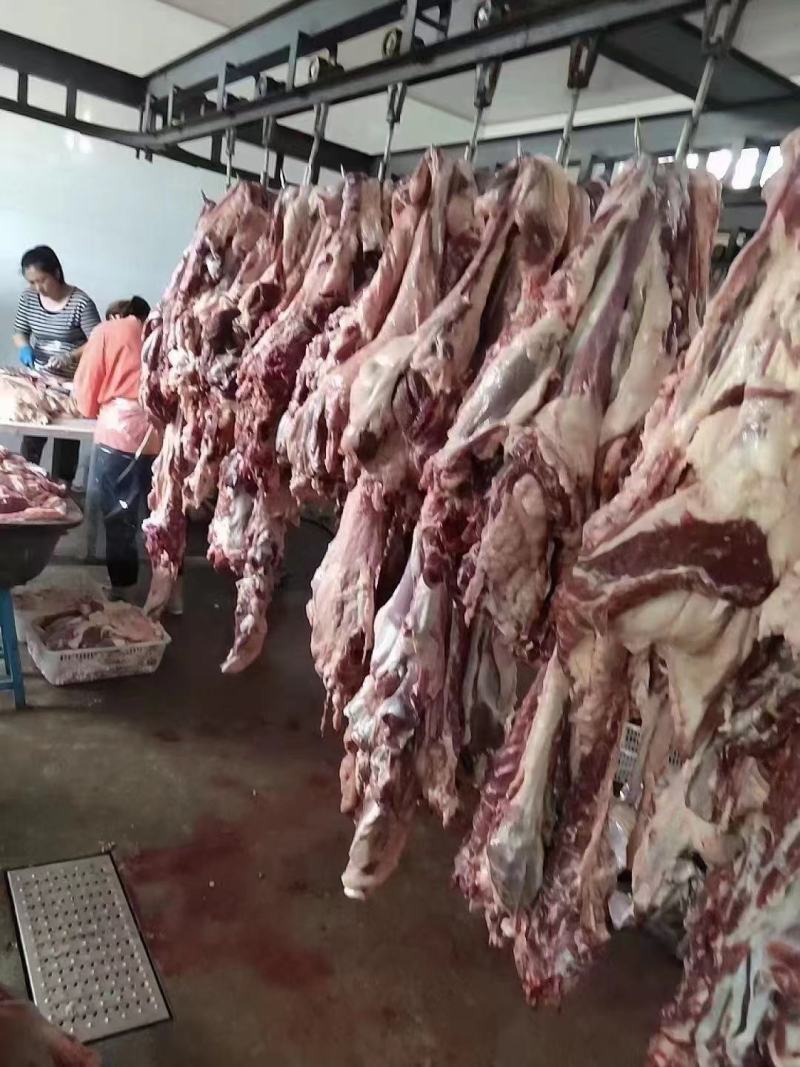 育肥羊肉卷，厂家一手货源也可定做加工。。。。