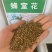 蜂室花种子蜂室花草四季可播易种室内阳台盆栽花卉植物简