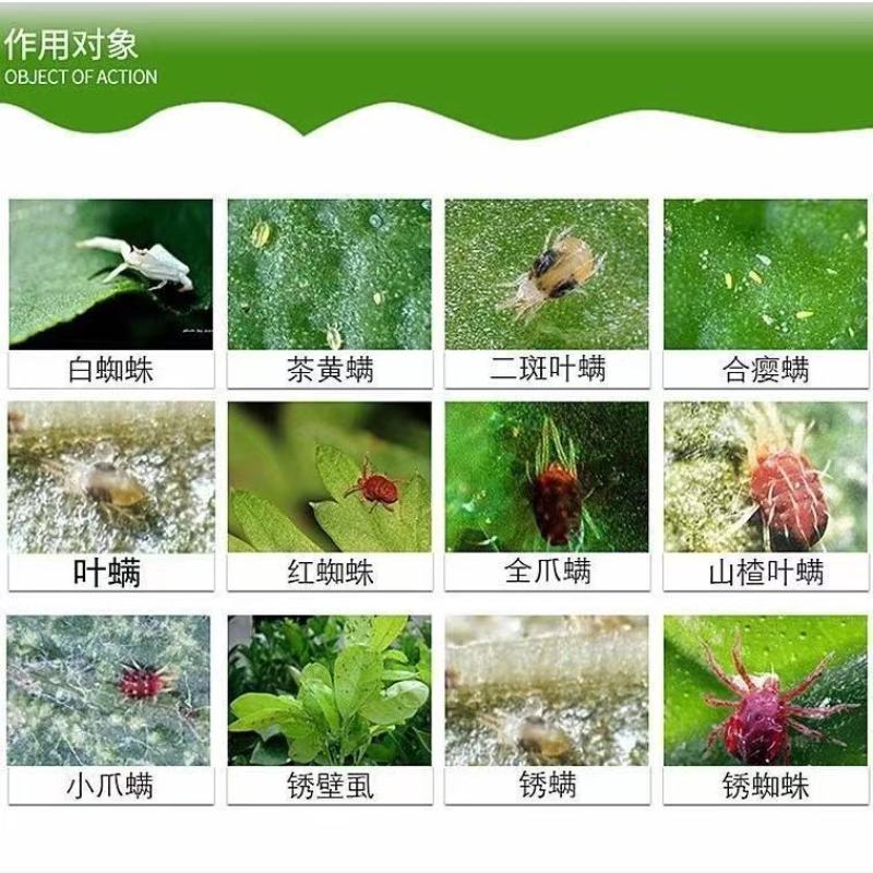 阿维哒螨灵果树月季柑橘红蜘蛛杀卵杀螨杀虫剂