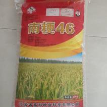 【热销】水稻种子南粳46产区直销40斤一袋量大优惠包邮