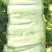 蔬菜