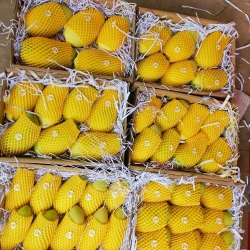 热带水果