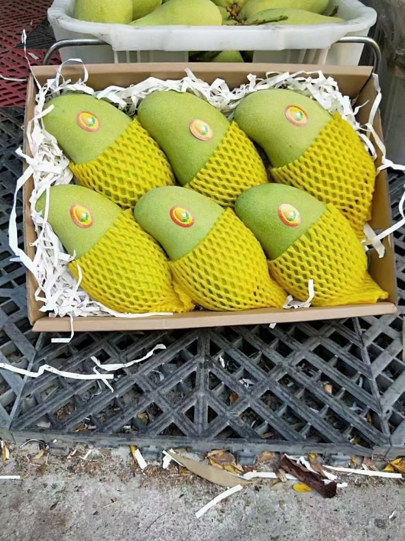 热带水果