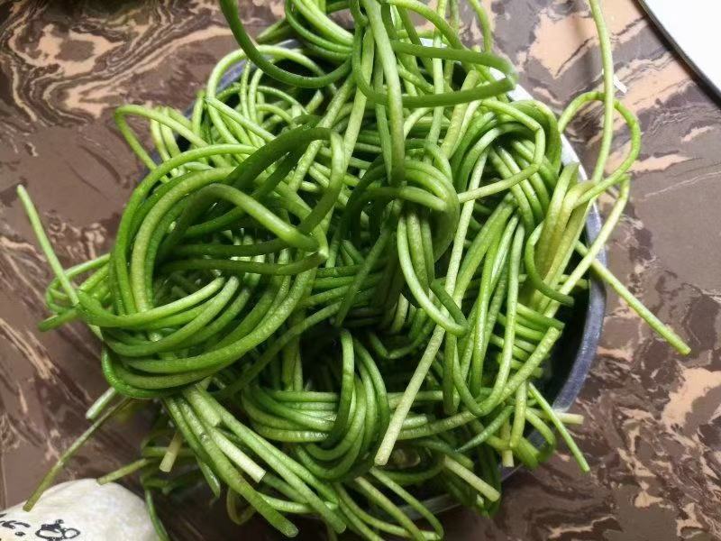 野莲菜