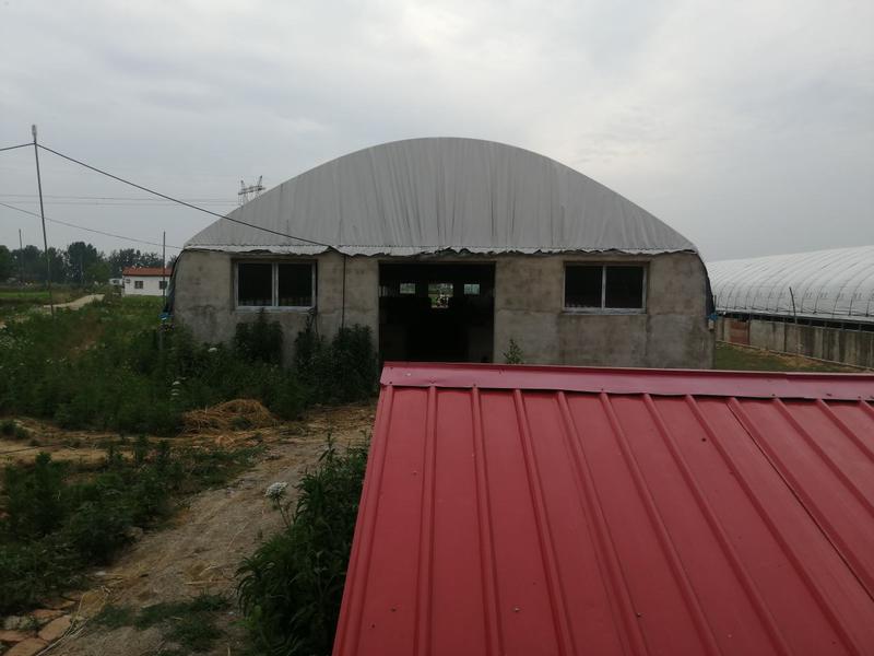 艺鑫养殖场为综合性养殖场，场地准备，出售牛羊散养鸡鸭鹅