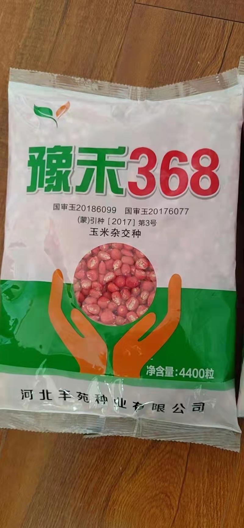 双国审玉米新品种，高产，稳产，抗病强，适应广，豫禾368