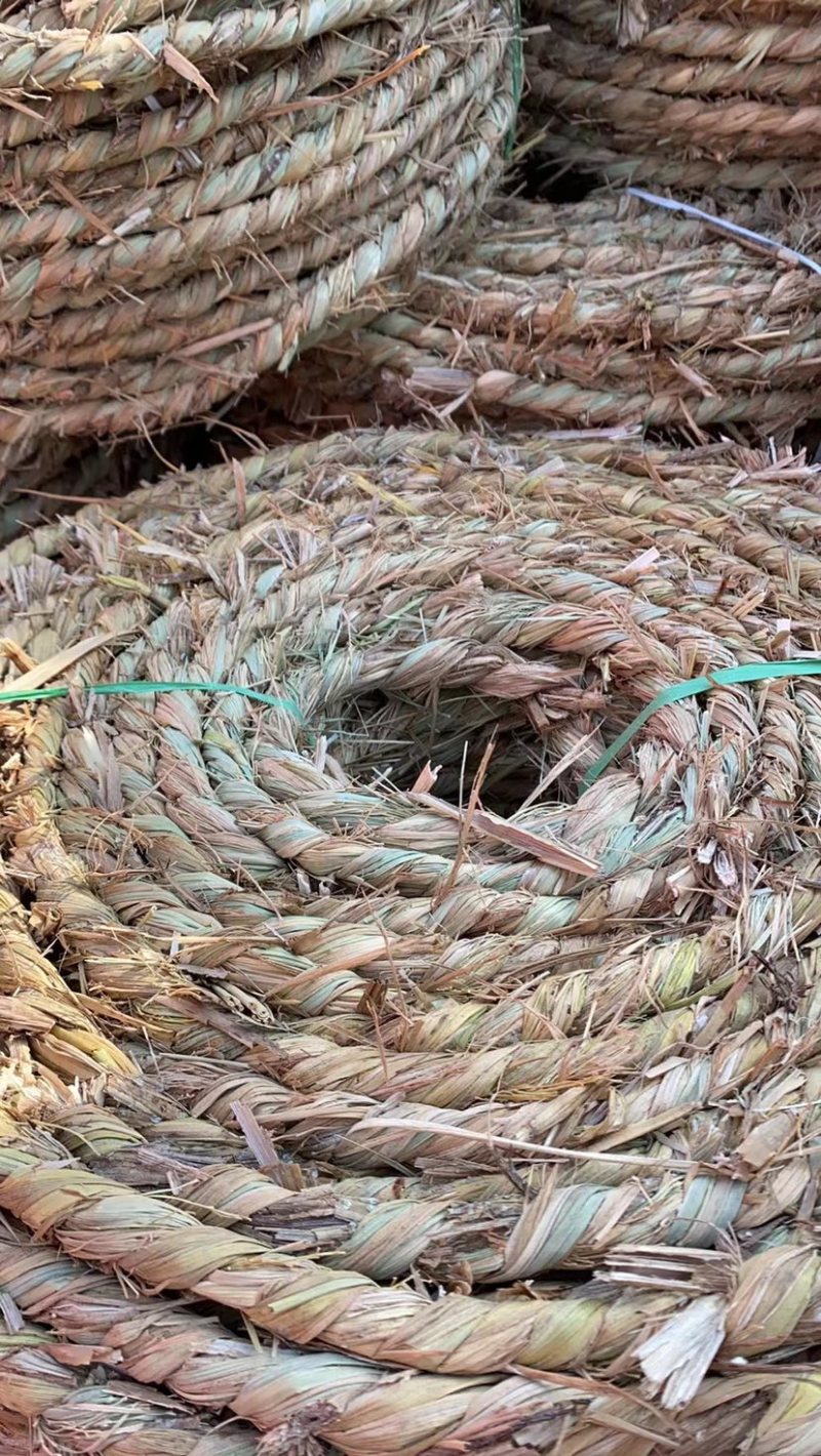 草绳绿化树木缠绕产品包装防护常年供应货源充足