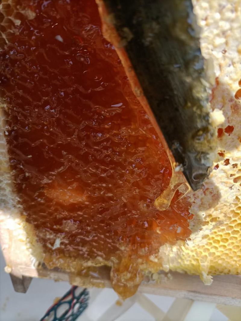 精品冬蜜，纯野生，质量保证，假一赔10