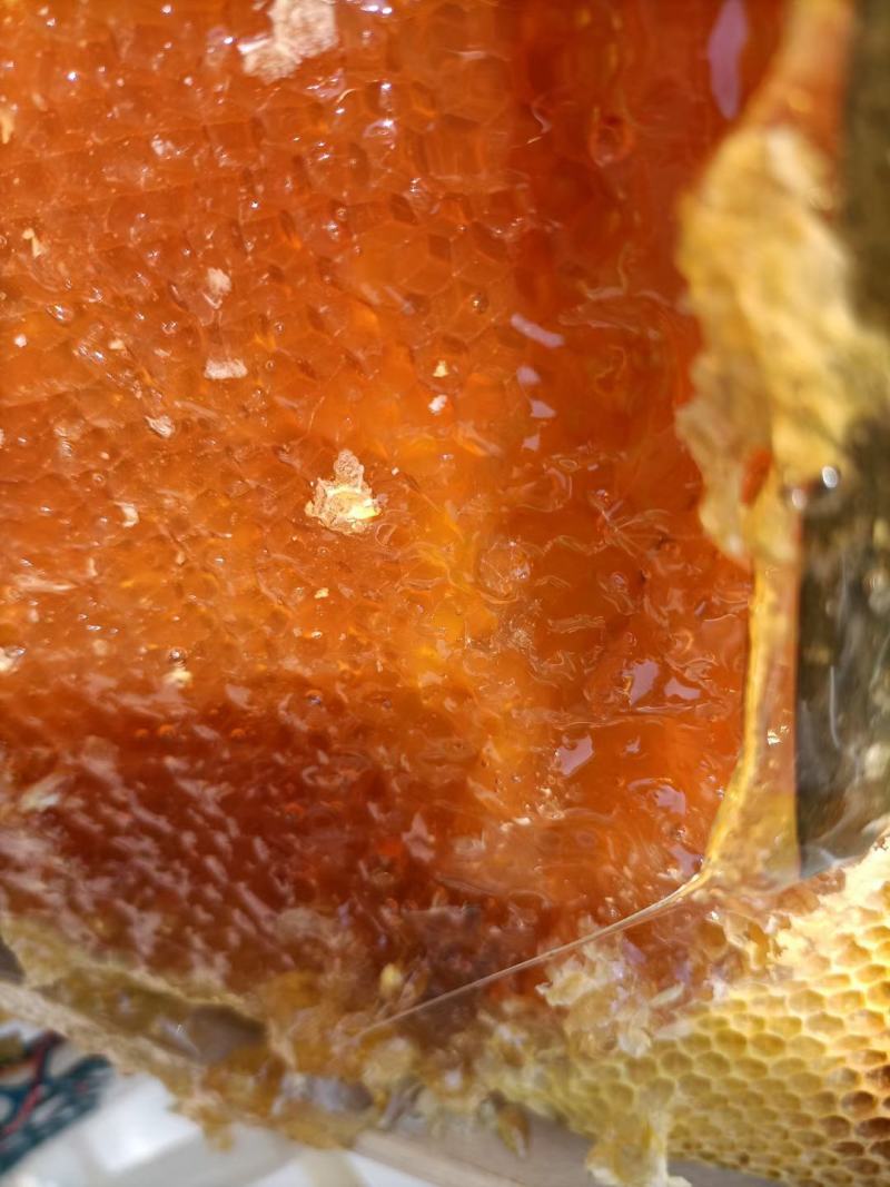 精品冬蜜，纯野生，质量保证，假一赔10