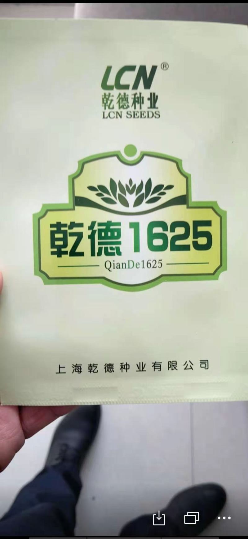 抗病毒，大果型抗病能力强西红柿苗