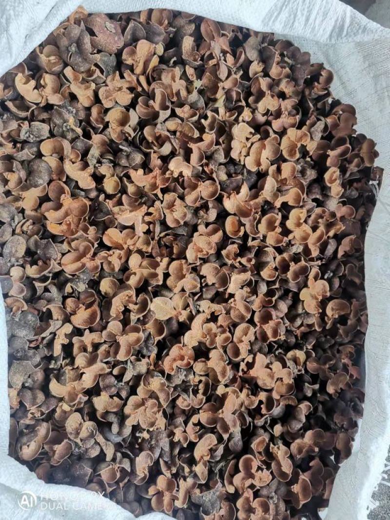 红茶壳，瑶山野生红茶壳，存放5年，一手货源，品质保证