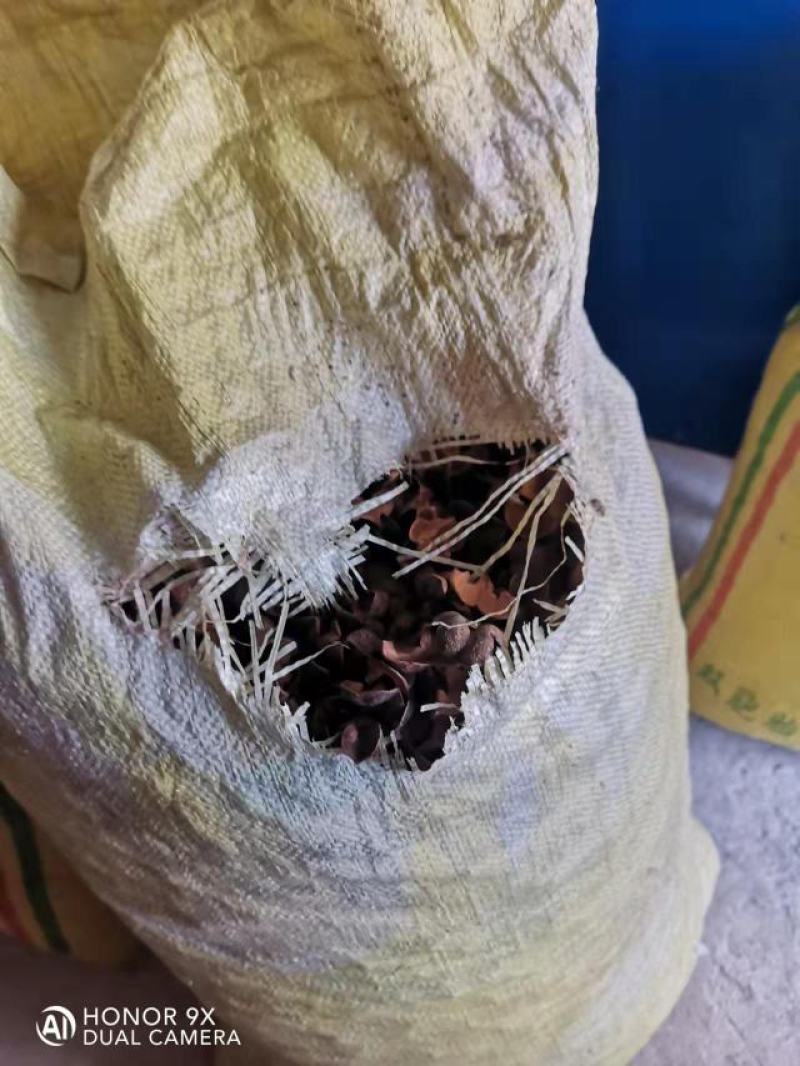 红茶壳，瑶山野生红茶壳，存放5年，一手货源，品质保证