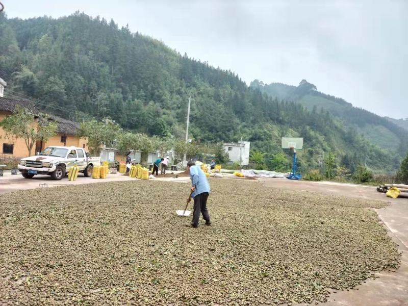 红茶壳，瑶山野生红茶壳，存放5年，一手货源，品质保证
