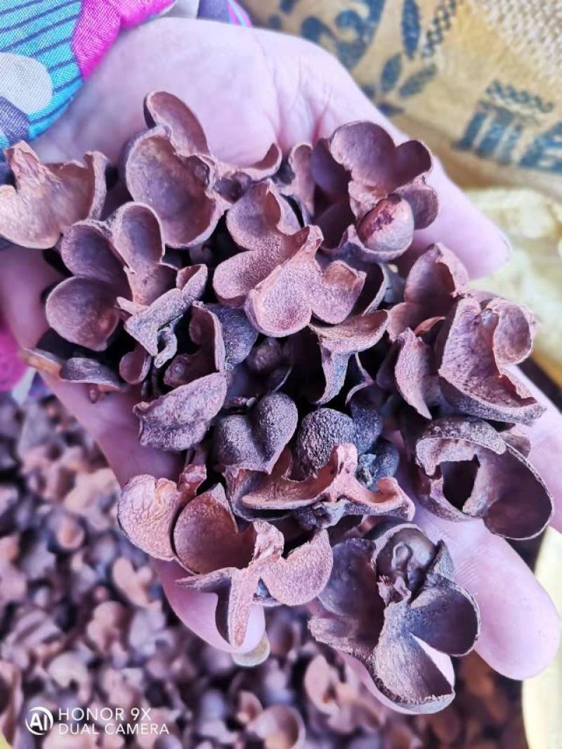 红茶壳，瑶山野生红茶壳，存放5年，一手货源，品质保证
