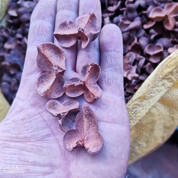 红茶壳，瑶山野生红茶壳，存放5年，一手货源，品质保证