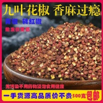 云南特产精品新鲜青花椒原产精选高品质特香特麻香料调料火窝