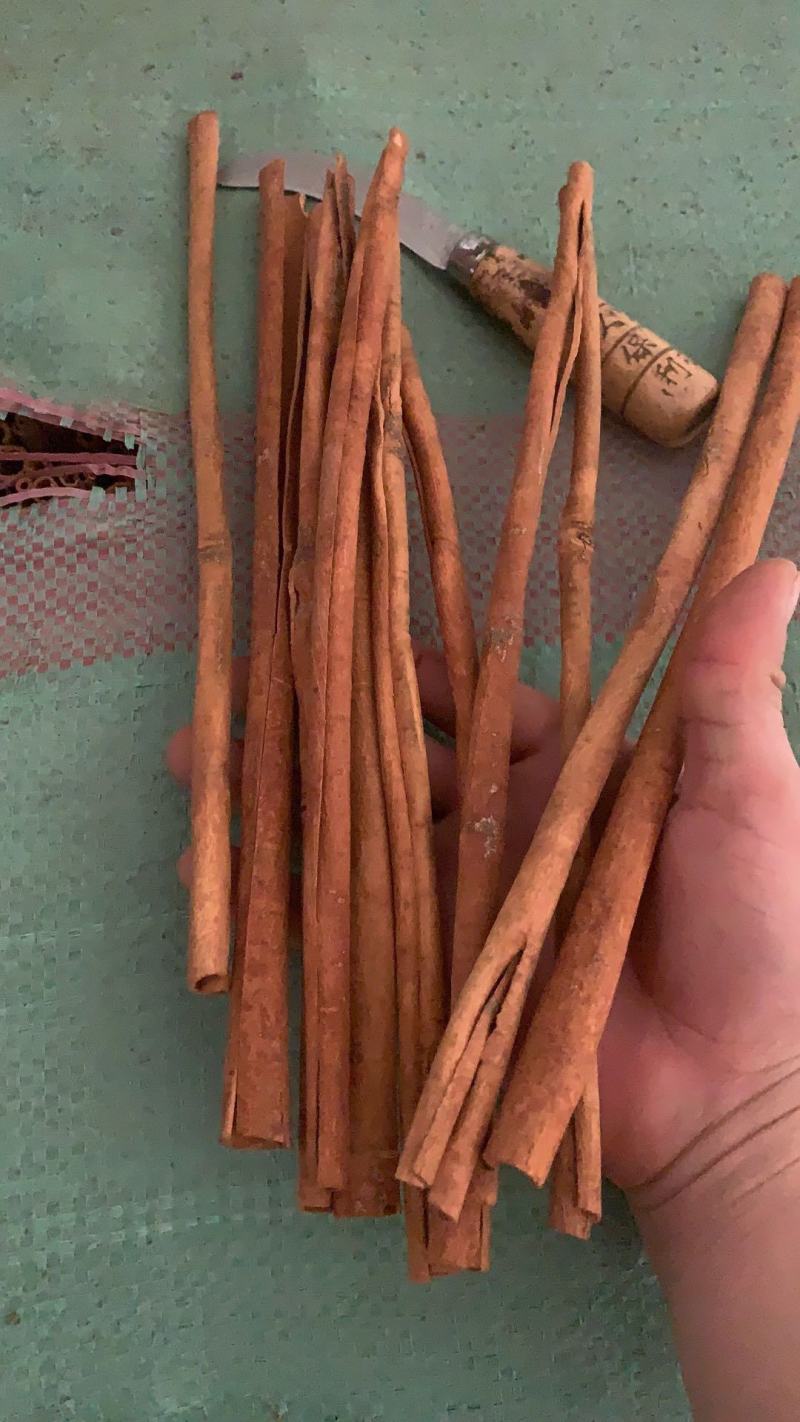 烟桂