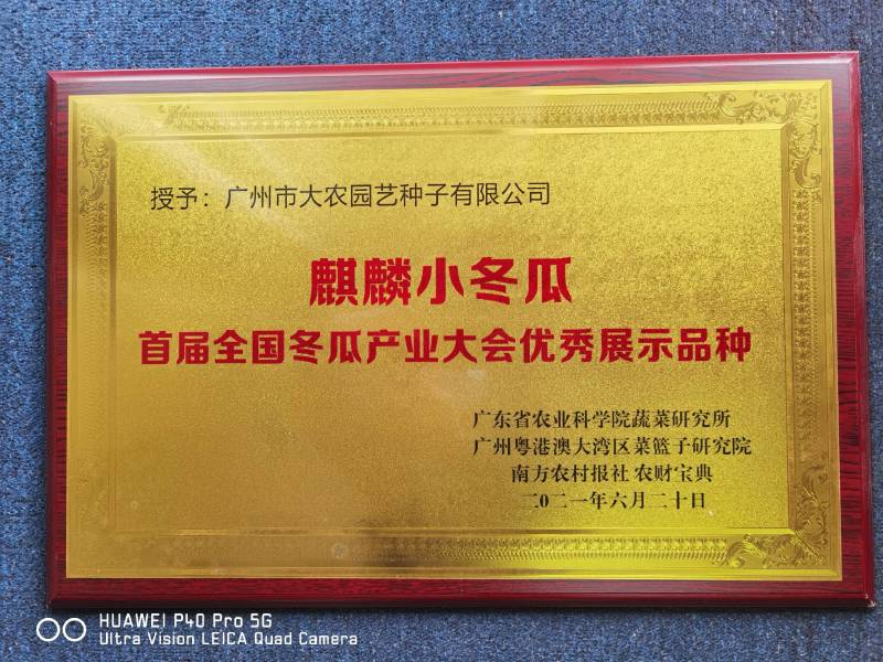 麒麟冬瓜种子非香芋味清甜纯正冬瓜味