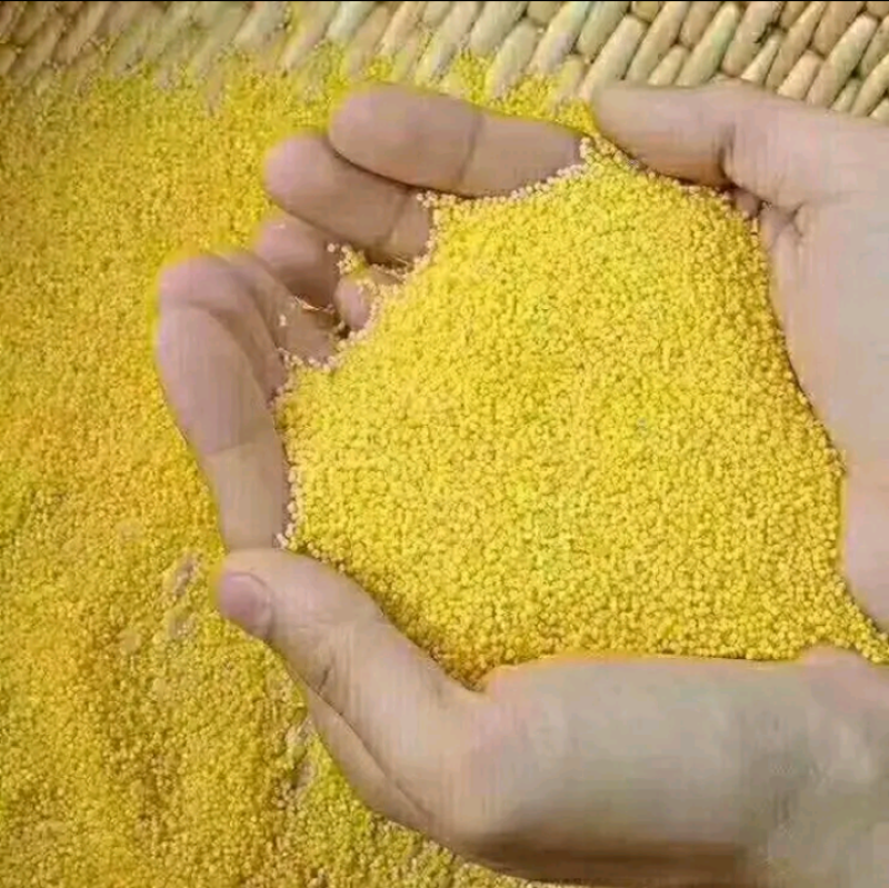 山东碱地米