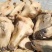 内蒙古锡林浩特火燎草地绵羊白头、花头，各种规格，都有现货