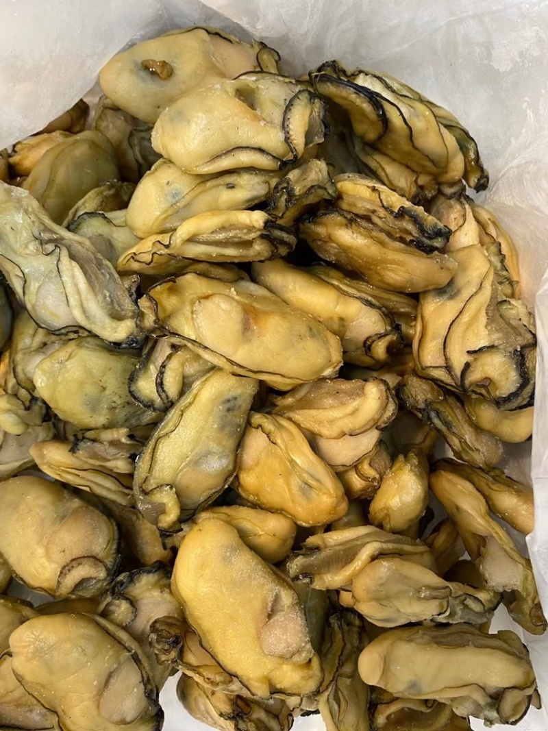 台山大金蚝鲜活生晒蚝干牡蛎干货生蚝蚝鼓肥大饱满送礼佳品