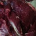 牛肉牛肉牛肉新鲜牛肉高原藏牦牛肉