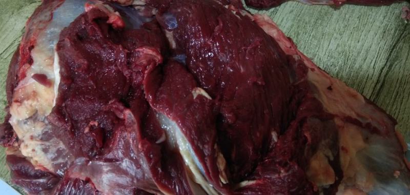 牛肉牛肉牛肉新鲜牛肉高原藏牦牛肉