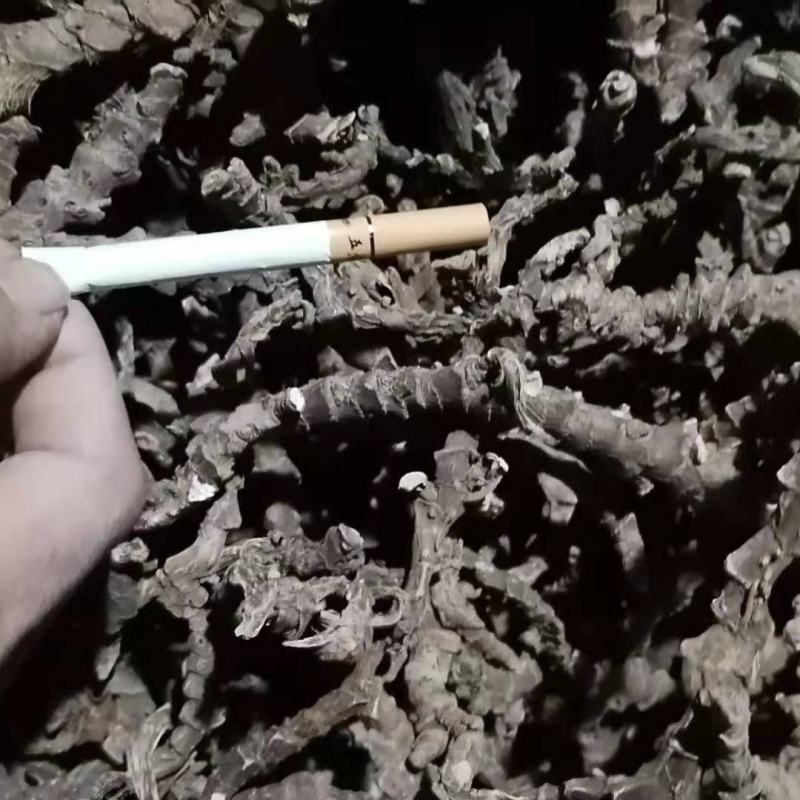 货源稳定价格美丽石菖蒲正品特惠品质上乘值得信赖