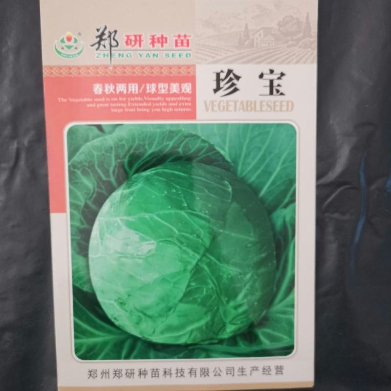 【精】郑研珍宝甘蓝种子10g，叶球紧实，耐裂，叶色深绿