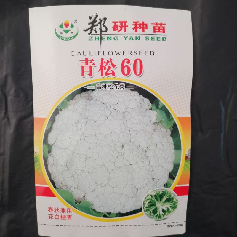 【精】郑研青松60早熟菜花种子，花白梗青，花粒细
