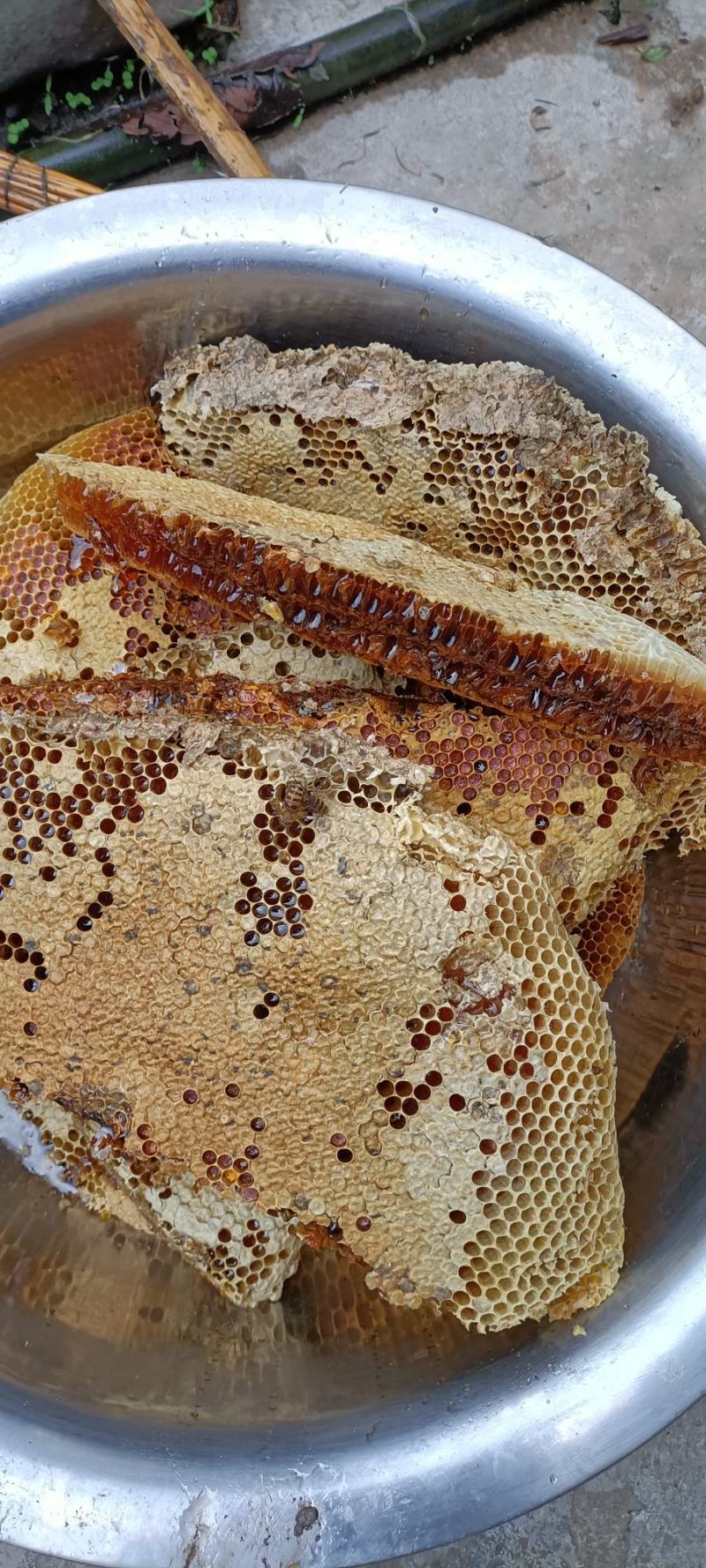 深山养殖天然野生蜂蜜，蜂糖，