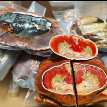 面包蟹鲜活速冻超大螃蟹蟹黄爆满全国发货量大从优