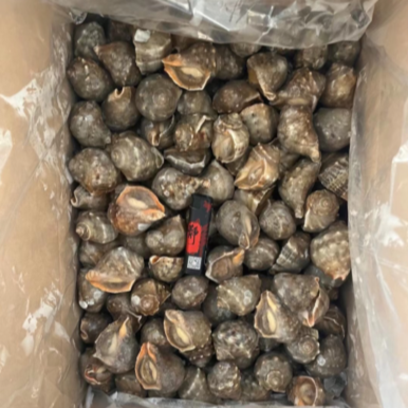 冻煮海螺。诚信经营，质优价廉。全国发货。欢迎选购