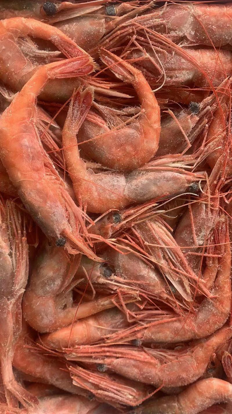 刺身甜虾货源充足产地直发，诚信经营全国发货