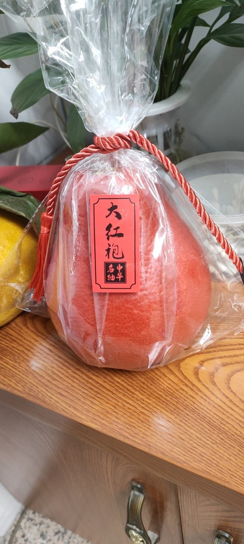 暹罗红柚枝条（泰国三红柚枝条)穗条质量保证基地直供