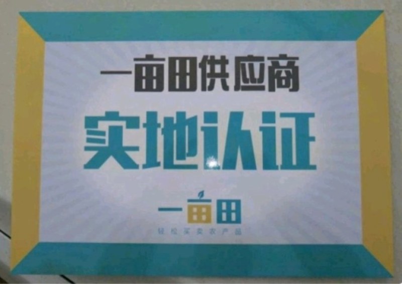 【优选商家】特大巨蜜王杏树苗，基地直销，包纯度，现挖现发