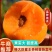 【优选商家】特大巨蜜王杏树苗，基地直销，包纯度，现挖现发
