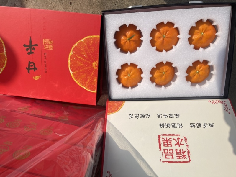 东海南田岛，海岛柑橘甜度，品相完美，口感非常好