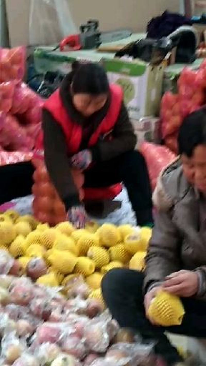 山西省运城市芮城县的高山脆甜红富士苹果