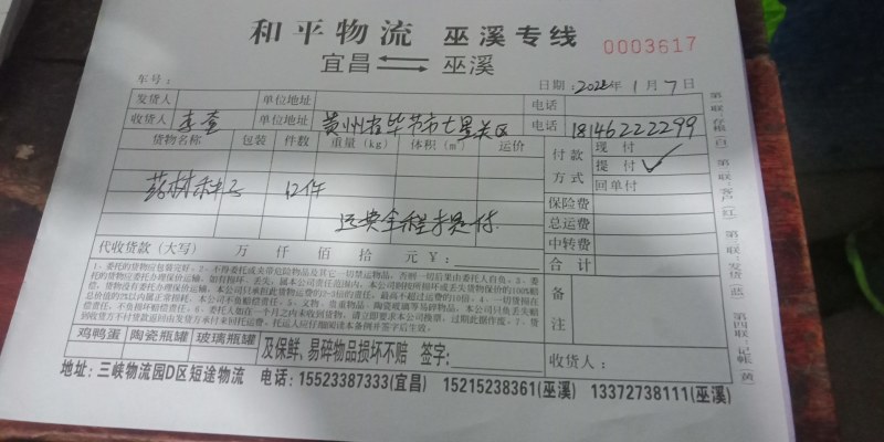 我乡云木香种子品种好，颗粒饱满，身干无杂质，发芽率高。