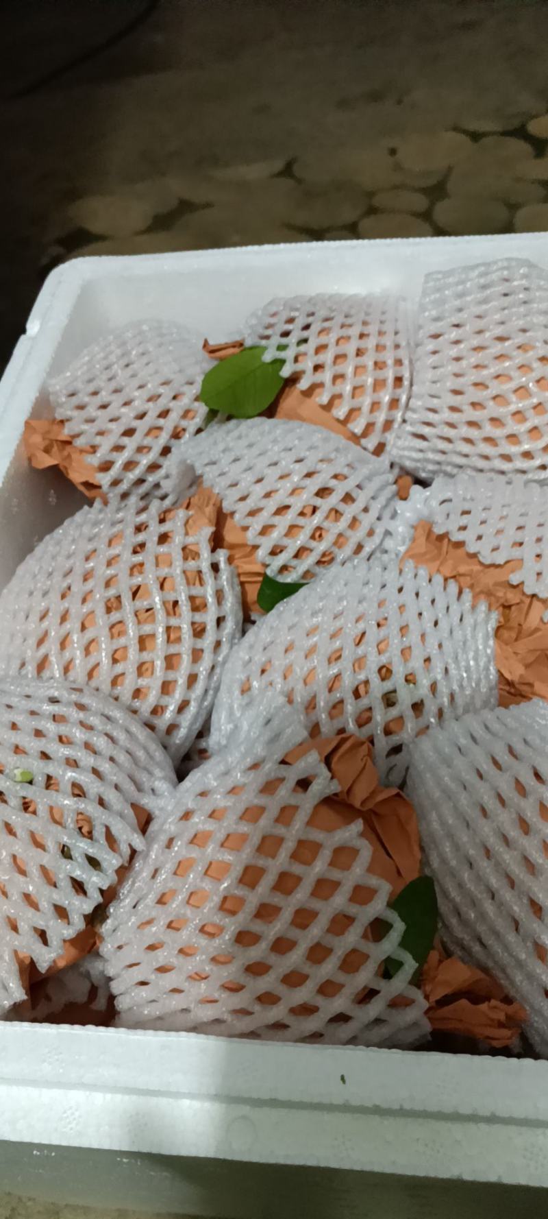 蒙自市新安所镇水果沃柑
