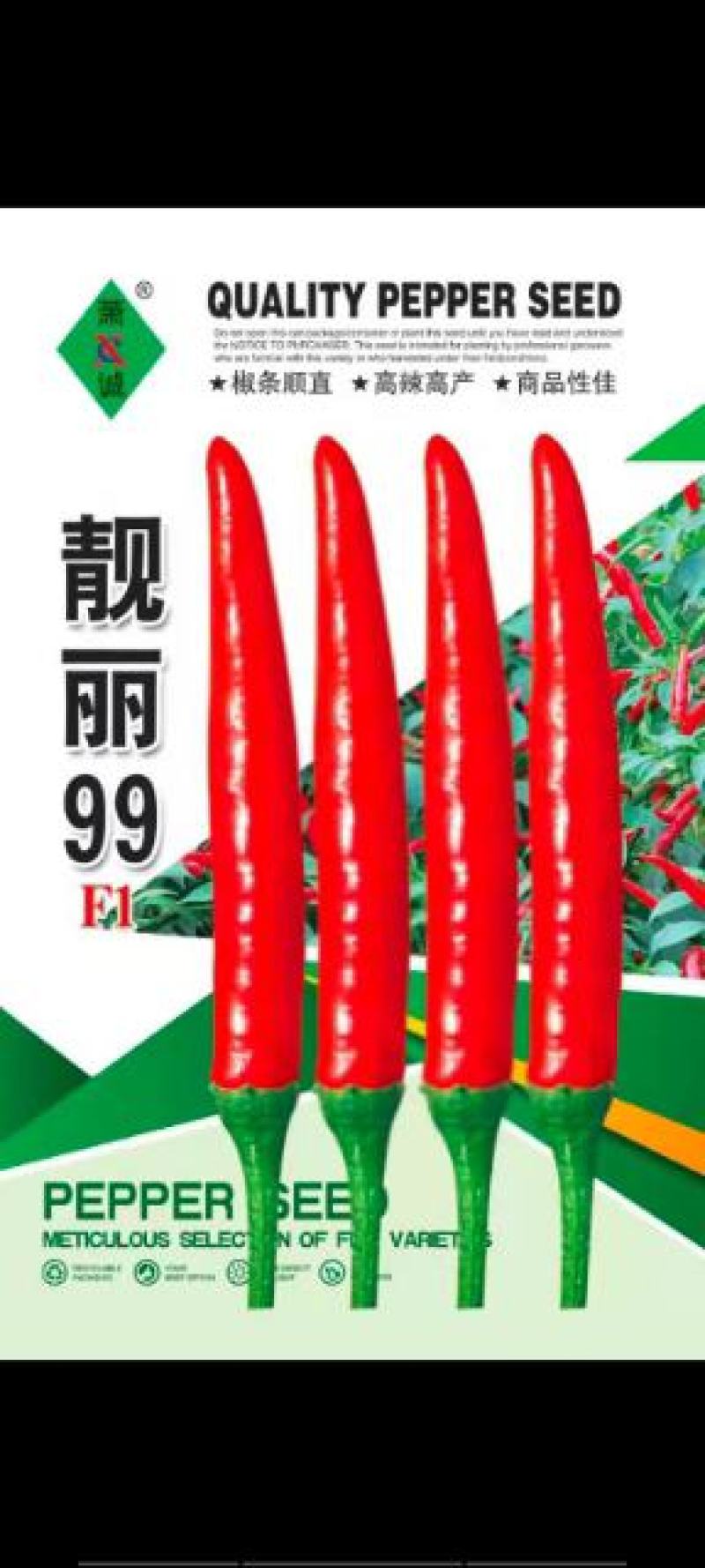 朝天椒单生高辣