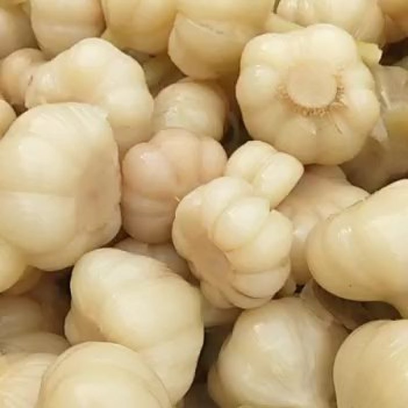 基地生产，加工，销售，厂家直销。一件起批，量大从优。